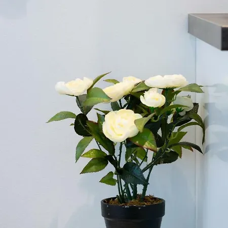 Baltic 1 - Rumbi 4-36 شقة تالين