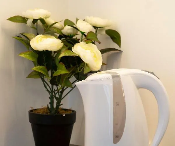 Baltic 1 - Rumbi 4-36 * タリン