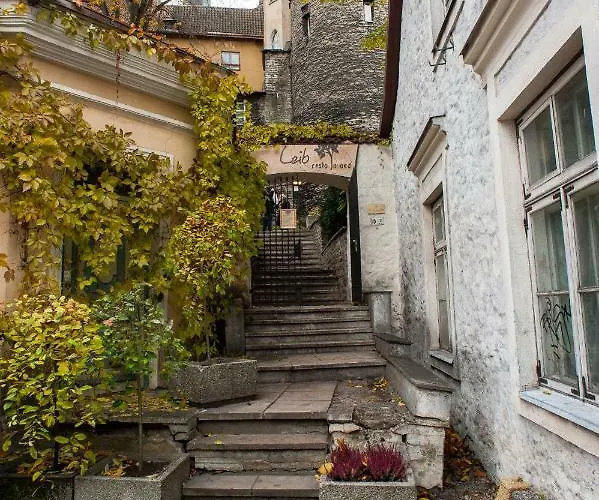 Korter Baltic 1 - Rumbi 4-36 *