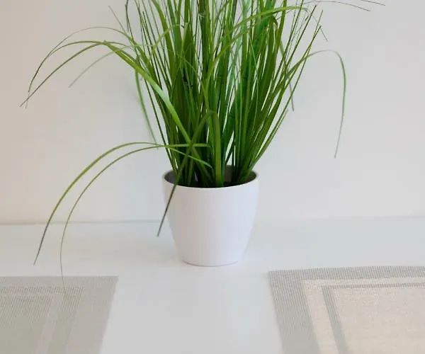 Baltic 1 - Rumbi 4-36 Korter *