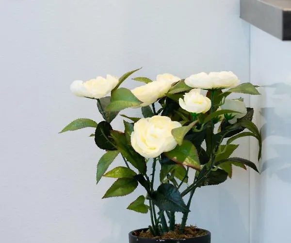 Baltic 1 - Rumbi 4-36 Apartmán Tallinn